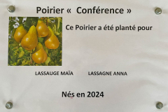 01-plantation-arbre-2025