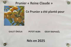 02-plantation-arbre-2025