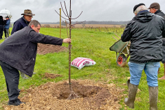 04-plantation-arbre-2025
