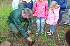 plantation-2025-03