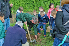 plantation-2025-06