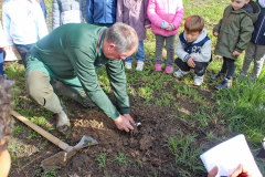 plantation-2025-08